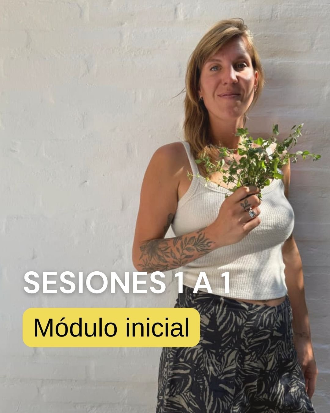 Módulo inicial: Nutrición integral / Fitoterapia